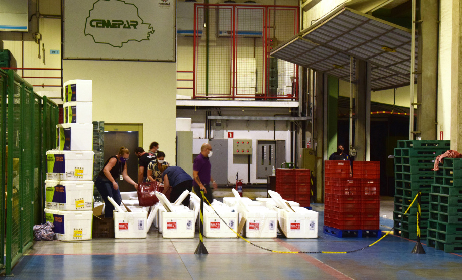 O Governo do Estado começa a distribuição da uma nova remessa de vacinas contra o coronavírus nesta quinta-feira (18). - Foto: Américo Antonio/SESA