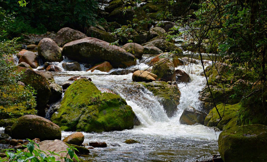 Para celebrar o Dia Mundial da Água, comemorado em 22 de março, a Secretaria de Estado do Desenvolvimento Sustentável e do Turismo (Sedest) irá divulgar vídeos temáticos durante a próxima semana e promover, na sexta-feira (26), o webinar: os cinco instrumentos de gestão de Recursos Hídricos, em parceria com a Sanepar. Na foto, Litoral do Paraná - Curitiba, 19/03/2021 - Foto: Cyrus Erlit