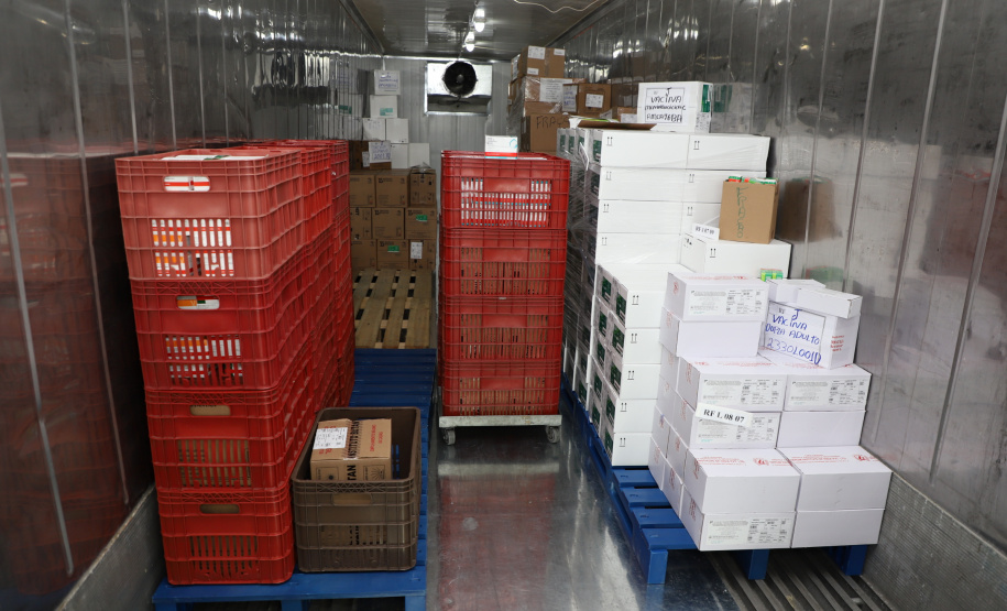 O Governo do Estado receu neste sábado (20),  mais 240.450 doses de vacinas contra o coronavírus. São 234.200 doses da Coronavac, produzida pela Sinovac e Instituto Butantan, e 6.250 do imunizante desenvolvido pela Universidade de Oxford/AstraZeneca, parte do primeiro lote fabricado pela Fundação Oswaldo Cruz (Fiocruz).  -  Curitiba, 20/03/2021  -  Foto: Ari Dias/AEN