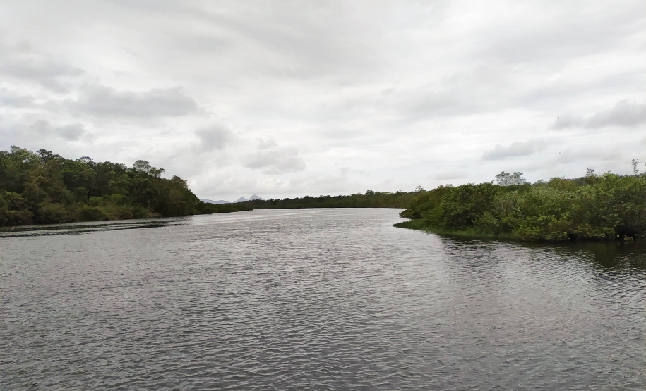 Em alusão ao Dia Mundial da Água, nesta segunda-feira (22), representantes do Instituto Água e Terra (IAT) e da Sanepar participaram de lives para debater a importância da qualidade dos recursos hídricos. - Foto: Divulgação Sedest/IAT - Rio Descoberto