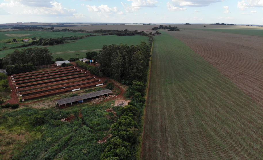 Visita do grupo técnico ao ponto de ligação da nova Ferroeste com a malha oeste.
Foto Gilson Abreu/AEN