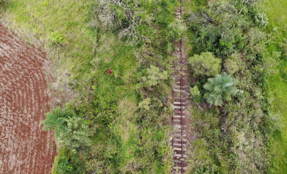 Visita do grupo técnico ao ponto de ligação da nova Ferroeste com a malha oeste.
Foto Gilson Abreu/AEN