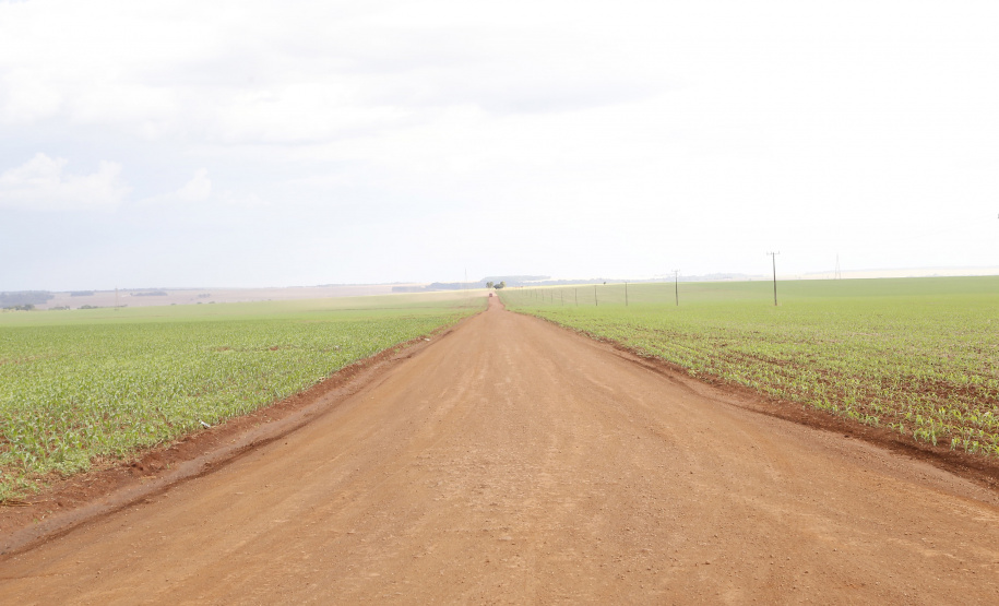 Área onde será instalado o futuro terminal de grãos da Nova Ferroeste em Maracajú.
Foto Gilson Abreu/AEN