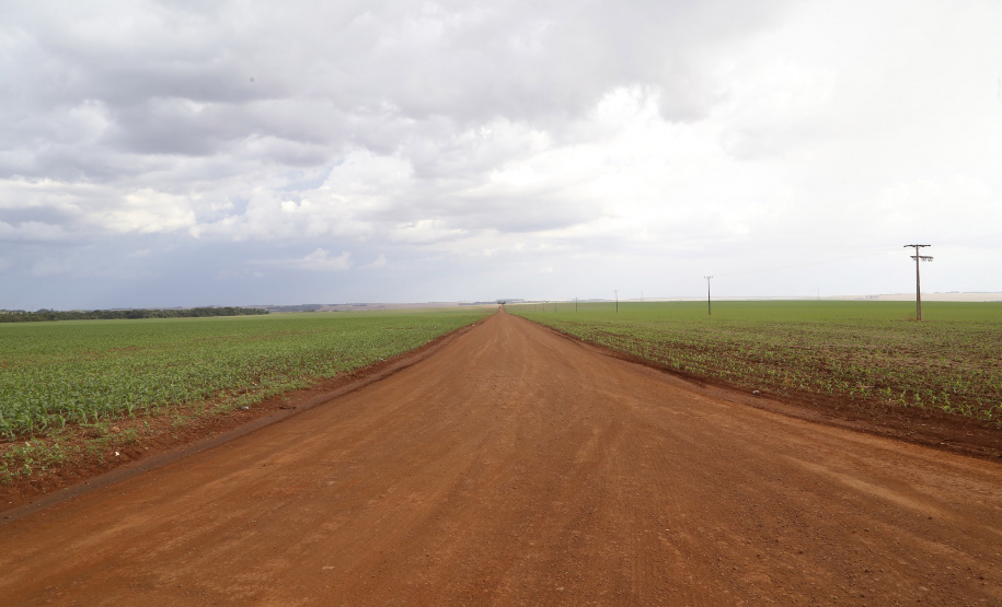 Área onde será instalado o futuro terminal de grãos da Nova Ferroeste em Maracajú.
Foto Gilson Abreu/AEN