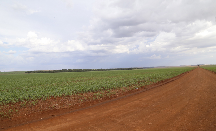 Área onde será instalado o futuro terminal de grãos da Nova Ferroeste em Maracajú.
Foto Gilson Abreu/AEN