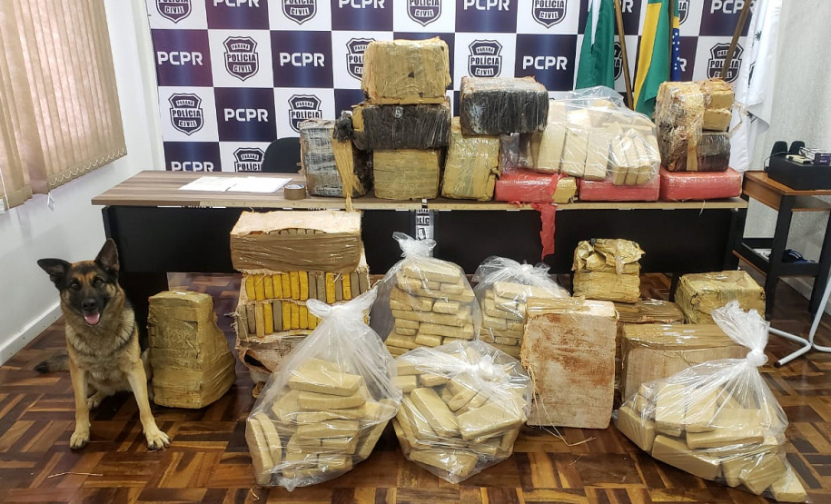 As forças de segurança do Paraná apreenderam cerca de 145,2 toneladas a mais de drogas nos doze meses de 2020, se comparado com o ano de 2019. De acordo com os dados da Secretaria Estadual da Segurança Pública (SESP), divulgados nesta quarta-feira (24/03), foram 288,9 toneladas de drogas (maconha, cocaína e crack) apreendidas de janeiro a dezembro de 2020, contra 143,6 toneladas durante o mesmo período de 2019, ou seja, um aumento de 50,2%. - Curitiba, 24/03/2021 - Foto: Divulgação SESP-PR