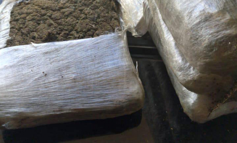 Mais de 4,7 toneladas de maconha foram apreendidas por policiais militares do Batalhão de Polícia Rodoviária (BPRv) durante uma abordagem de rotina. A apreensão, que é a maior do ano, começou por volta de 12h30 de quinta-feira (25/03) na cidade de Iporã, no Noroeste do estado, e resultou na prisão de um homem. A droga estava escondida em uma carga de chia. Curitiba, 25/03/2021 - Foto: Divulgação SESP