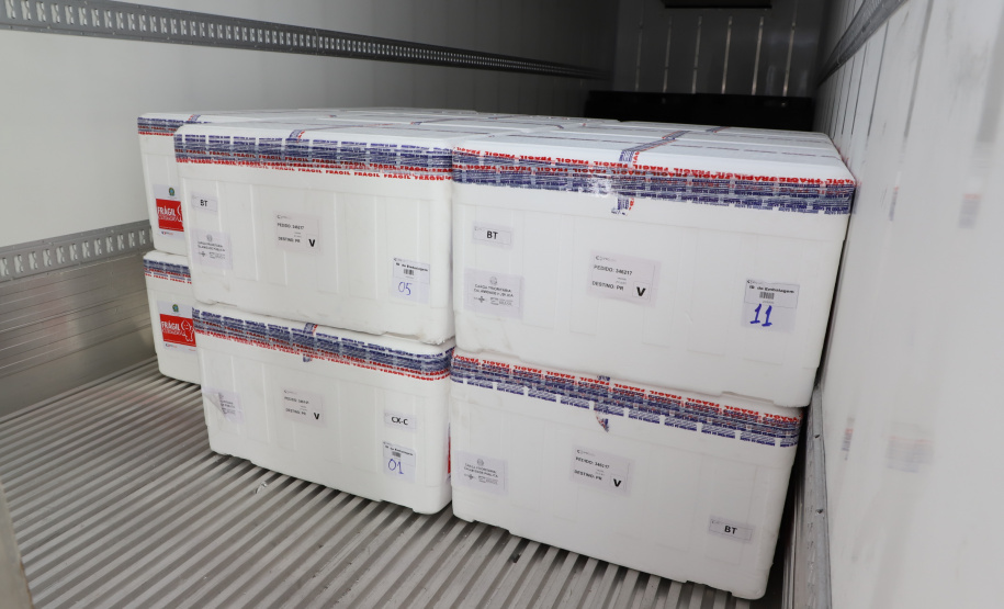 Paraná começa a imunizar idosos com mais de 65 anos
. Foto: Ari Dias/AEN