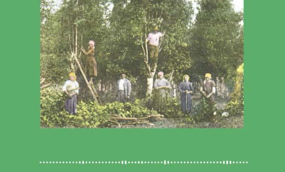 Espaço Cultural BRDE e Museu Paranaense lançam série de podcasts.Foto:BRDE