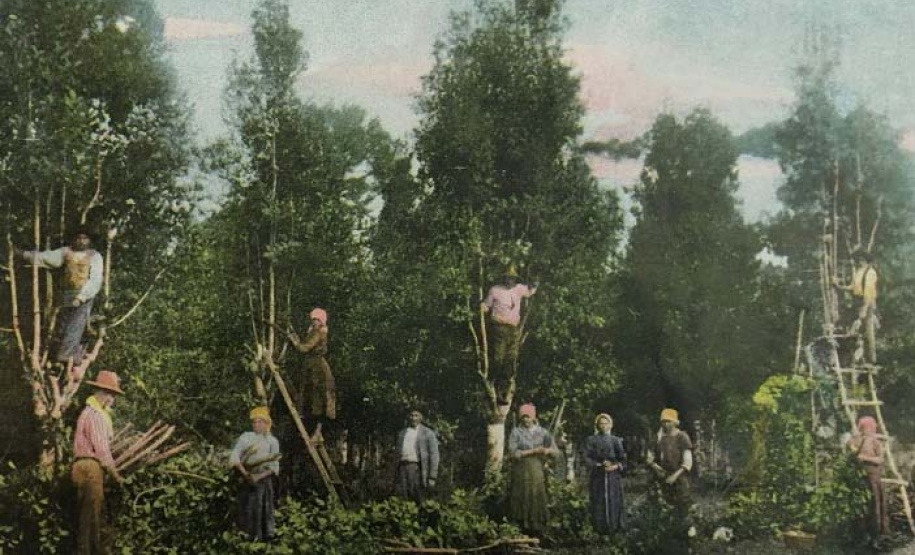 Espaço Cultural BRDE e Museu Paranaense lançam série de podcasts.Foto:BRDE