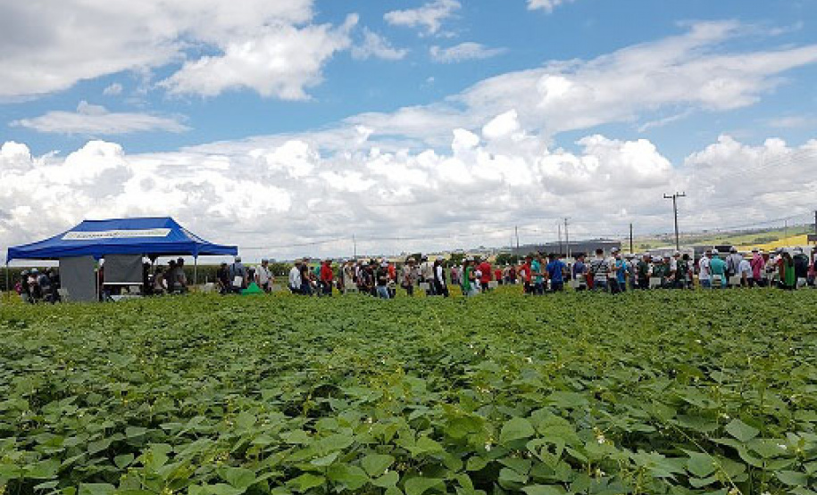 Produtores de feijão e milho interessados em melhorar a produtividade das suas lavouras estão convidados a participar de um Dia de Campo Virtual, nos dias 30 e 31. A atividade é parte da ação do Projeto Centro-Sul de Feijão e Milho, uma parceria entre a Syngenta e o IDR-Paraná (Instituto de Desenvolvimento Rural do Paraná-Iapar-Emater). -  Curitiba, 29/03/2021  -  Foto: Divulgação IDR