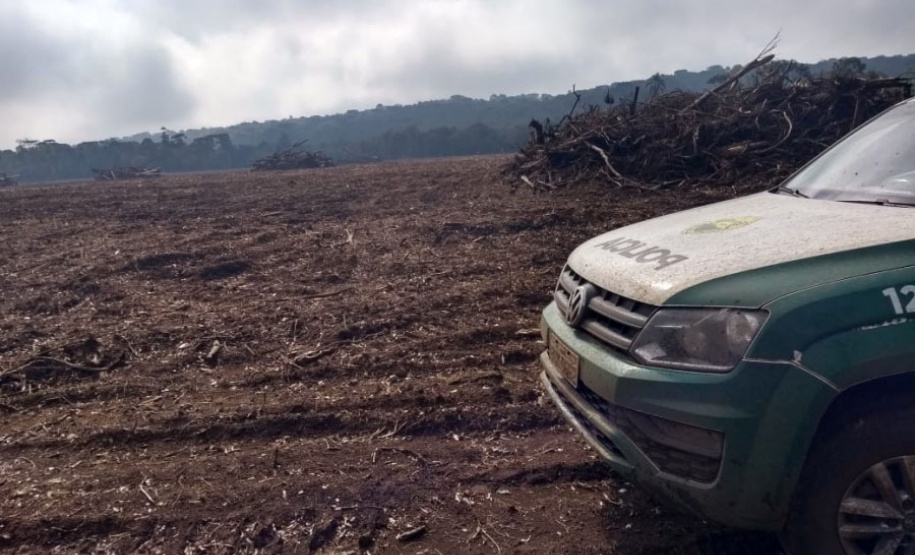 Em 2020, Polícia Ambiental atende mais de 15 mil ocorrências e faz 1,5 mil encaminhamentos no Paraná  -  Curitiba, 29/03/2021  -  Foto: Divulgação SESP-PR