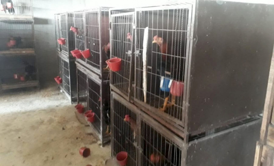 Em 2020, Polícia Ambiental atende mais de 15 mil ocorrências e faz 1,5 mil encaminhamentos no Paraná  -  Curitiba, 29/03/2021  -  Foto: Divulgação SESP-PR