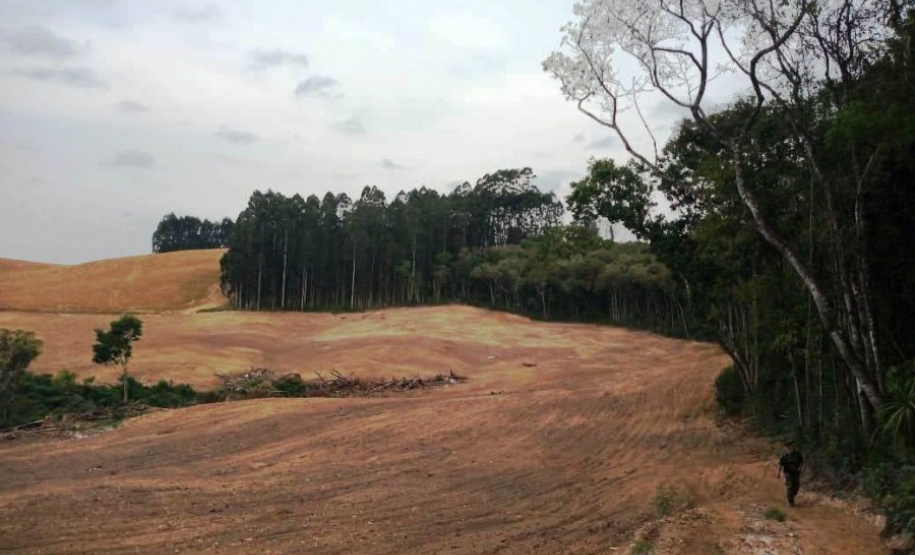 Em 2020, Polícia Ambiental atende mais de 15 mil ocorrências e faz 1,5 mil encaminhamentos no Paraná  -  Curitiba, 29/03/2021  -  Foto: Divulgação SESP-PR