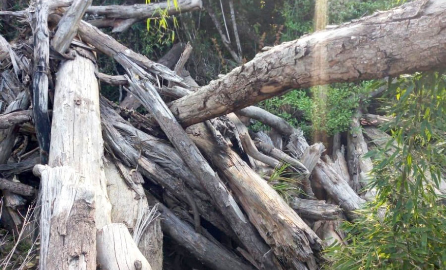 Em 2020, Polícia Ambiental atende mais de 15 mil ocorrências e faz 1,5 mil encaminhamentos no Paraná  -  Curitiba, 29/03/2021  -  Foto: Divulgação SESP-PR