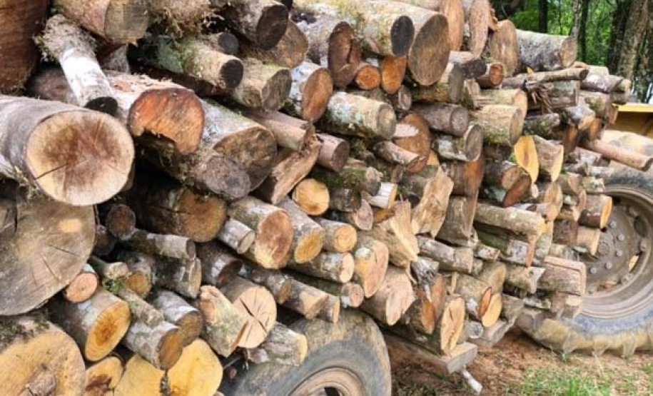 Em 2020, Polícia Ambiental atende mais de 15 mil ocorrências e faz 1,5 mil encaminhamentos no Paraná  -  Curitiba, 29/03/2021  -  Foto: Divulgação SESP-PR