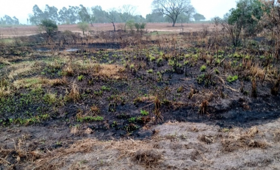 Em 2020, Polícia Ambiental atende mais de 15 mil ocorrências e faz 1,5 mil encaminhamentos no Paraná  -  Curitiba, 29/03/2021  -  Foto: Divulgação SESP-PR