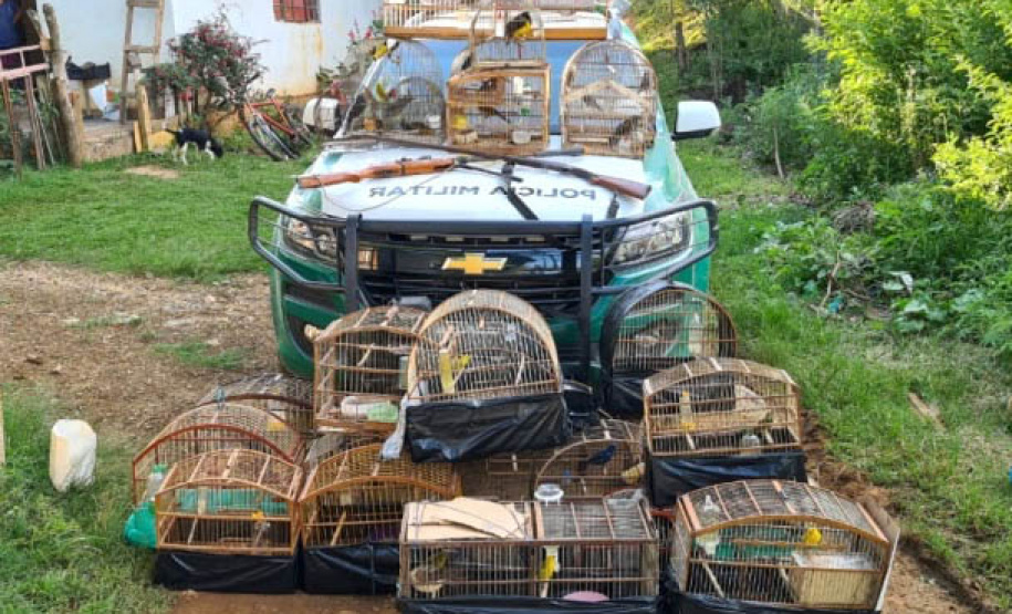 Em 2020, Polícia Ambiental atende mais de 15 mil ocorrências e faz 1,5 mil encaminhamentos no Paraná  -  Curitiba, 29/03/2021  -  Foto: Divulgação SESP-PR