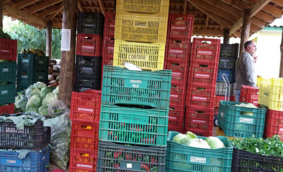 O Governo do Paraná firma contratos com cerca de 180 cooperativas e associações de pequenos agricultores para garantir a entrega de produtos da agricultura familiar nas mais de 2,1 mil escolas estaduais. - Foto: Cooperativa Agropecuária Matoriquense (Coamar), de Mato Rico