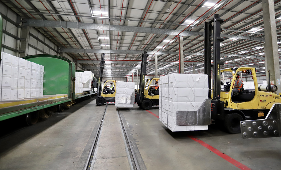 Aumenta o transporte ferroviário de celulose para exportação pelo Porto de Paranaguá - Paranaguá, 30/03/2021 - Foto: C;audio Neves/Portos do Paraná