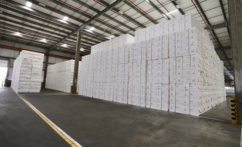 Aumenta o transporte ferroviário de celulose para exportação pelo Porto de Paranaguá - Paranaguá, 30/03/2021 - Foto: C;audio Neves/Portos do Paraná