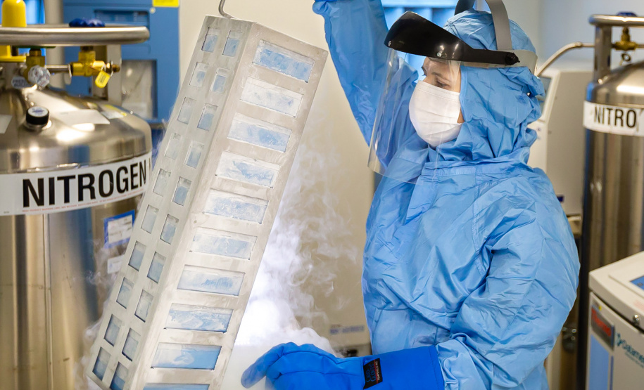 Com apoio do Banco Regional de Desenvolvimento do Extremo Sul (BRDE), a Pontifícia Universidade Católica do Paraná (PUCPR) realizou pesquisas sobre o novo coronavírus e maneiras de conhecer melhor a doença para realizar seu enfrentamento por meio da ciência e do conhecimento. O resultado de quatro, de um total de 13 estudos, foram divulgados em evento online nesta terça-feira (30)  - Curitiba, 30/03/2021  -  Foto: Gian Galani