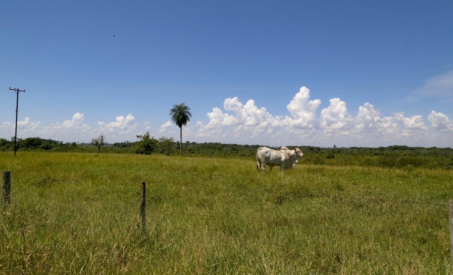 24.03.2021 - Visita do grupo tecnico da nova ferroeste em pontos onde vai passar a nova ferrovia em Mundo Novo-ms.
Foto Gilson Abreu/AEN