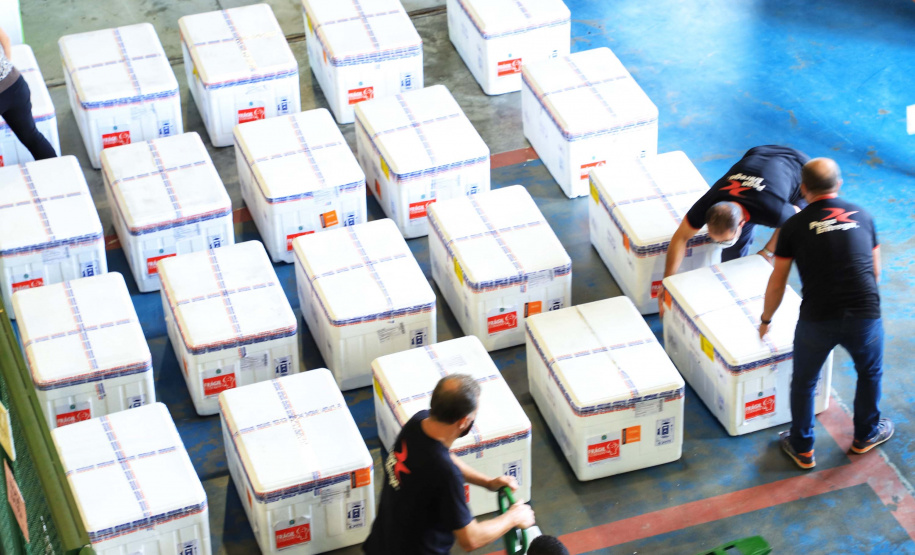 O Paraná recebeu nesta quinta-feira (1º) o 11° lote de vacinas contra Covid-19 do Ministério da Saúde. São 492.200 doses da Coronavac, produzida pela Sinovac e Instituto Butantan, e 33.250 doses da Covishield, produzida pela Universidade de Oxford com AstraZeneca e Fundação Oswaldo Cruz (Fiocruz).Foto: José Fernando Ogura/AEN