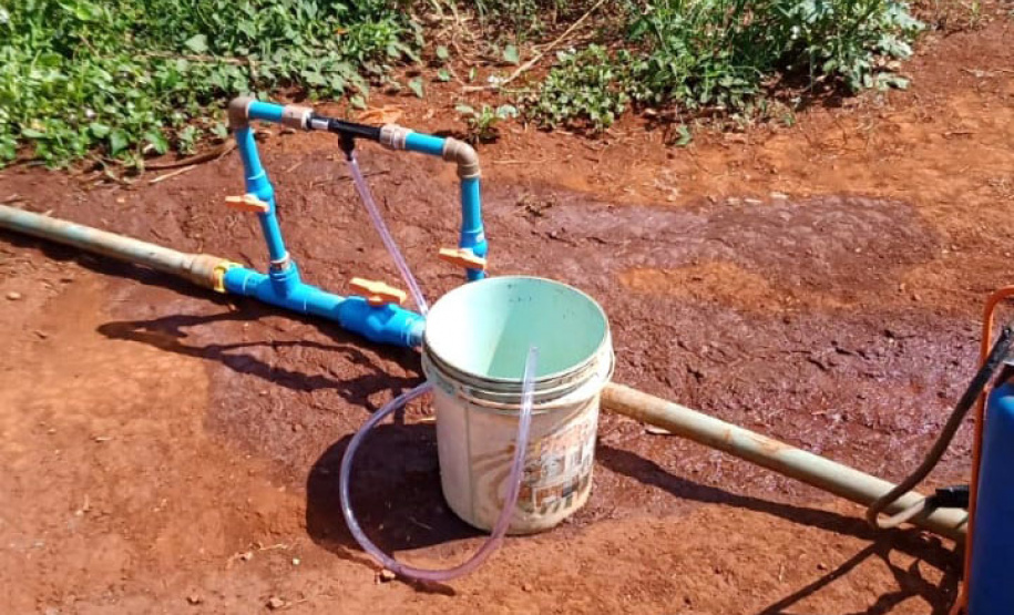 Governo promove qualidade de vida e renda para pequenos produtores - Foto: Divulgação IDR-Paraná