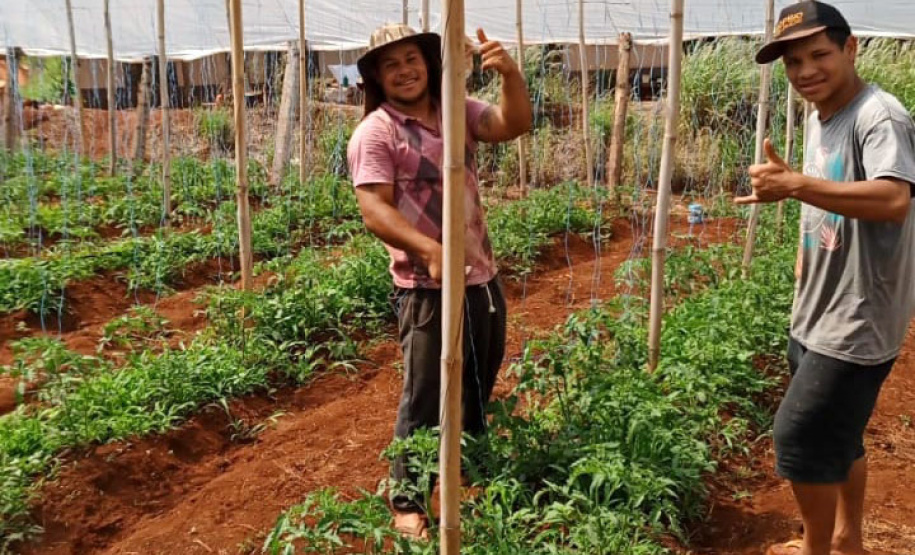 Governo promove qualidade de vida e renda para pequenos produtores - Foto: Divulgação IDR-Paraná