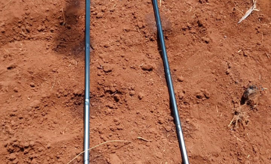 Governo promove qualidade de vida e renda para pequenos produtores - Foto: Divulgação IDR-Paraná