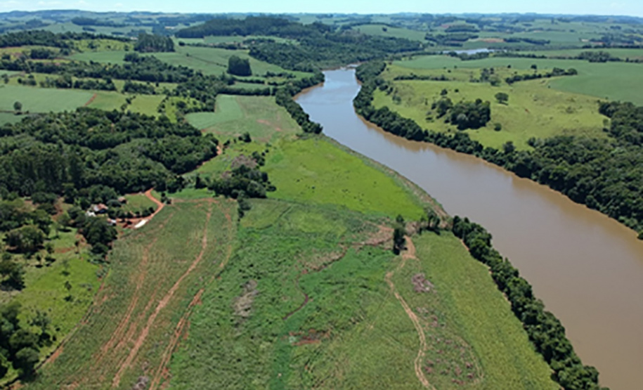 Áreas que estavam degradadas são alvo de ações de recomosição florestal.