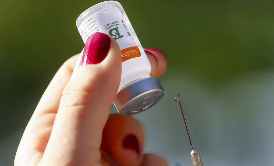 Paraná receberá mais 242.050 doses de vacinas contra a Covid-19
FOTO:Jonathan Campos/AEN