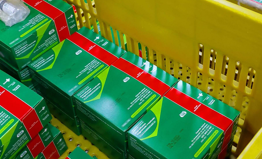 Vacina contra a gripe. Foto: Américo Antonio/SESA