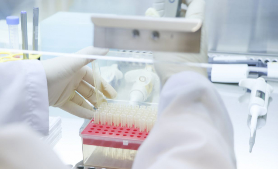 Pesquisadores da UEPG conquistam vaga em programa de intercâmbio da Capes no exterior - Foto: Aline Jasper/UEPG