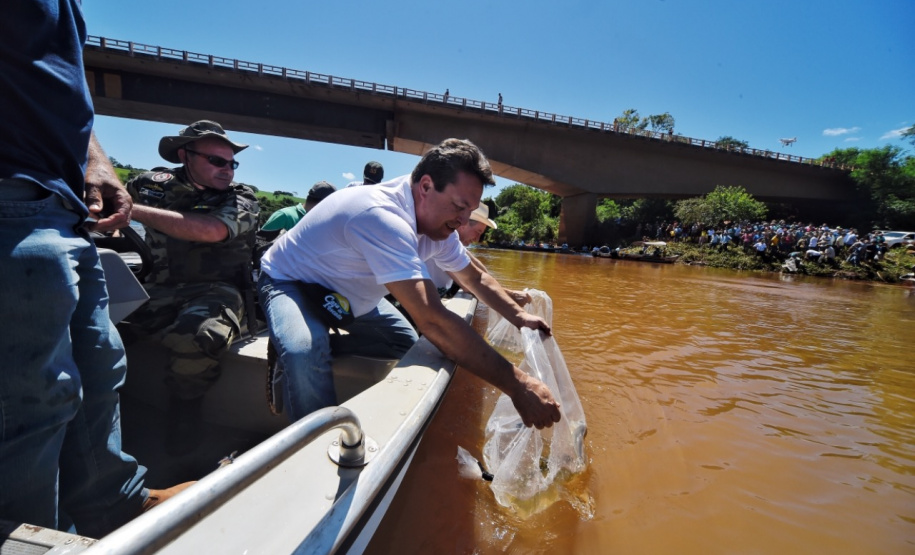 Paraná tem novas normas para repovoamento de peixes. Foto: Denis Ferreira Netto/SEDEST