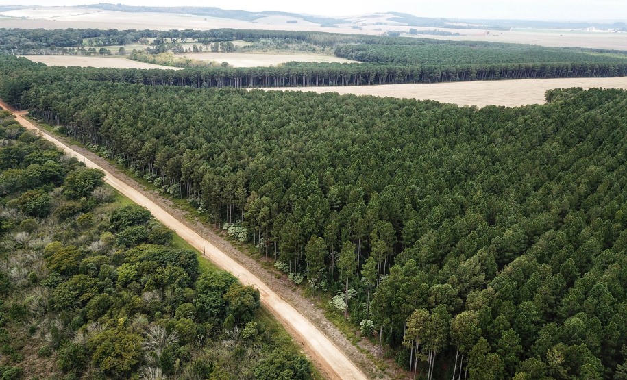 Em Ponta Grossa, Exército vistoria local de possível instalações da Escola de Sargentos de Armas - ESA. Ponta Grossa, 13 de abril de 2021.Foto: José Fernando Ogura/ AEN