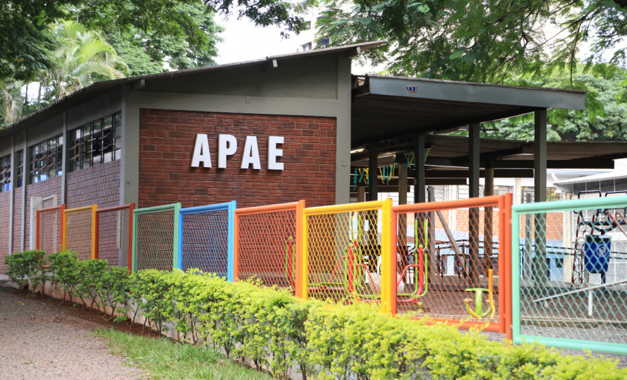 Seed acerta novo termo de parceria com instituições da Educação Especial - Foto: Arquivo SEED