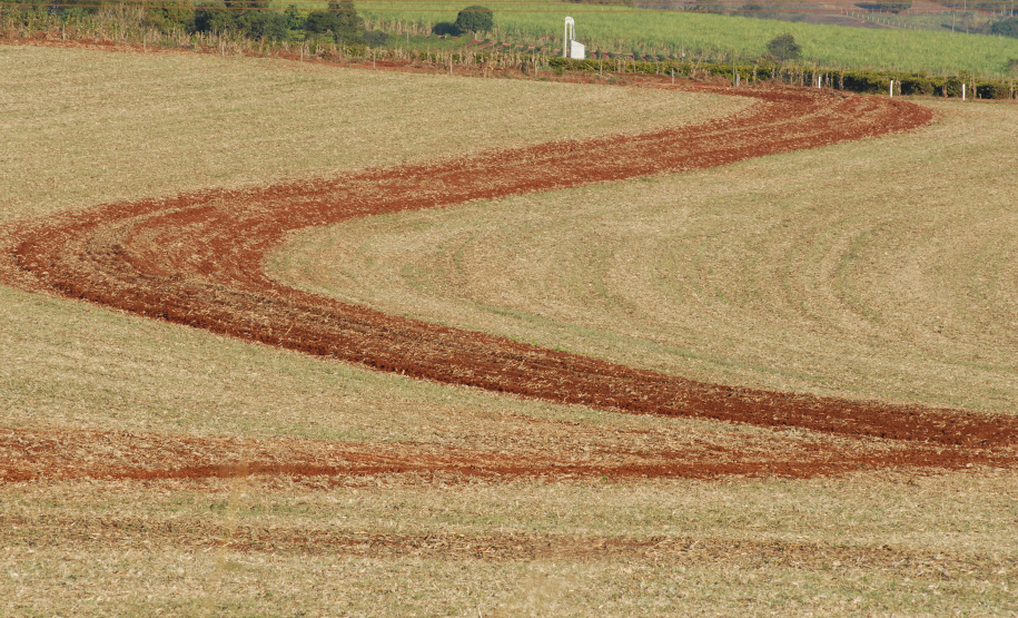O agronegócio brasileiro vem se comprometendo cada vez mais com a adoção de práticas que poupam os recursos naturais e diminuem a emissão de carbono para a atmosfera. Essa é a conclusão do artigo Desenvolvimento da agricultura de baixo carbono no Brasil, publicado pelo Instituto de Pesquisa Econômica Aplicada (Ipea), órgão vinculado ao Ministério da Economia.  -  Foto: Divulgação IAPAR