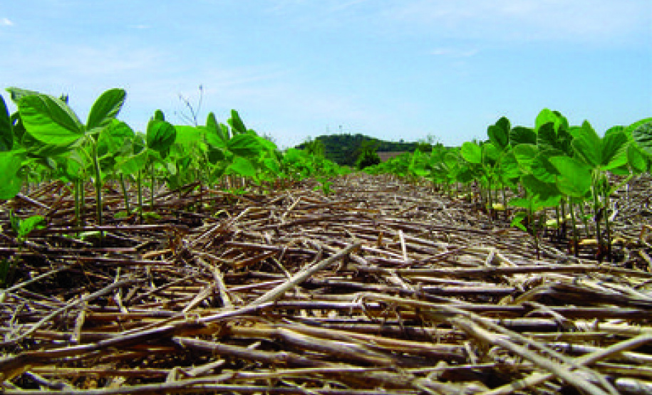 O agronegócio brasileiro vem se comprometendo cada vez mais com a adoção de práticas que poupam os recursos naturais e diminuem a emissão de carbono para a atmosfera. Essa é a conclusão do artigo Desenvolvimento da agricultura de baixo carbono no Brasil, publicado pelo Instituto de Pesquisa Econômica Aplicada (Ipea), órgão vinculado ao Ministério da Economia.  -  Foto: Divulgação IAPAR