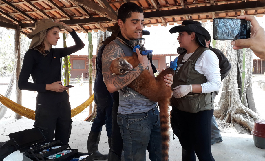 A Secretaria de Estado do Desenvolvimento Sustentável e do Turismo (Sedest), em parceria com a Proteção Animal Mundial (World Animal Protection), ofertará no mês de julho o curso de Manejo de Animais em Situação de Desastres. - Curitiba, 16/04/2021 - Foto: Raphael Eduardo Fernandes Santos