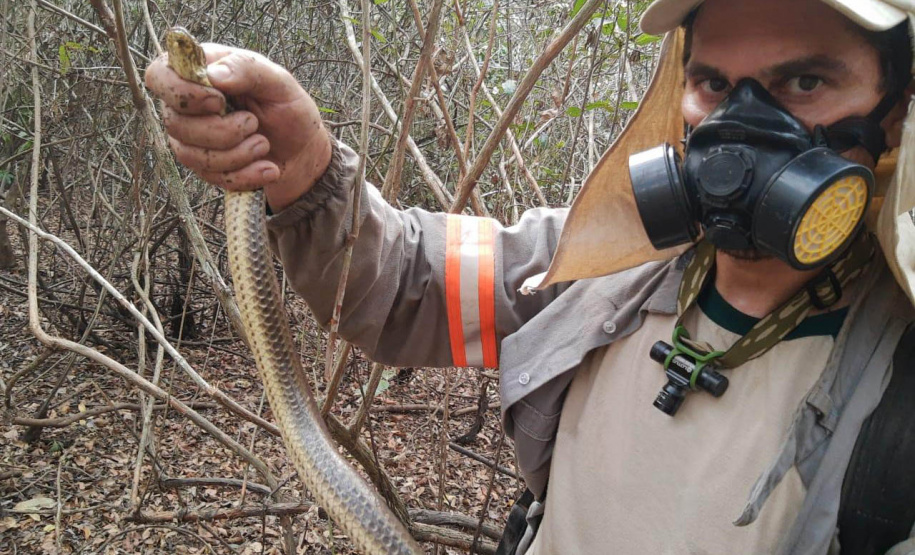 A Secretaria de Estado do Desenvolvimento Sustentável e do Turismo (Sedest), em parceria com a Proteção Animal Mundial (World Animal Protection), ofertará no mês de julho o curso de Manejo de Animais em Situação de Desastres. - Curitiba, 16/04/2021 - Foto: Raphael Eduardo Fernandes Santos