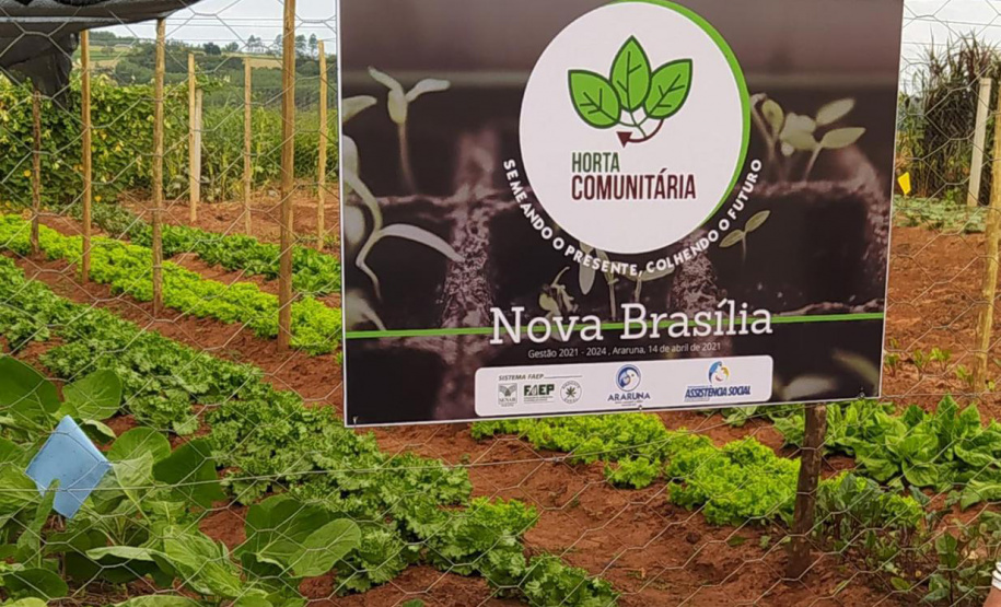 Moradores de Araruna ganham primeira Horta Comunitária. Foto:SEAB