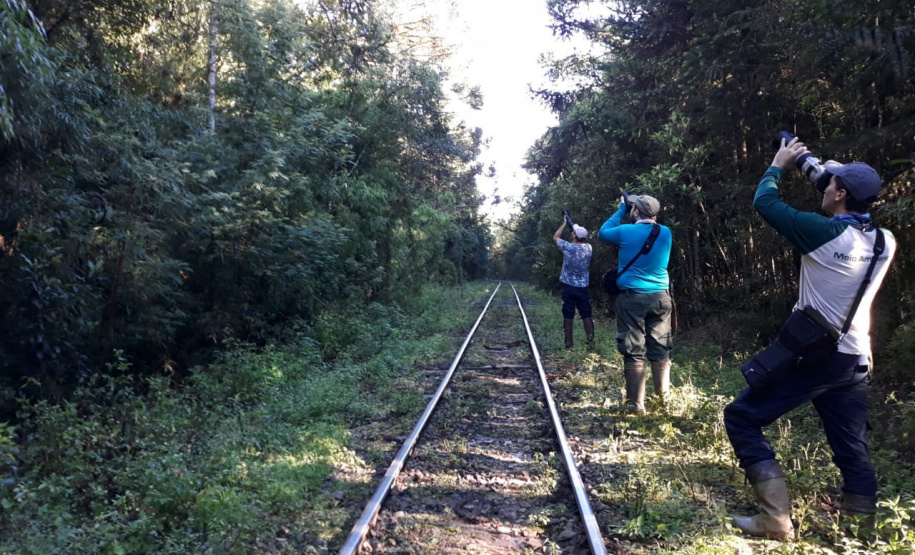 Teve início, nesta semana, a segunda fase do diagnóstico da fauna ao longo do traçado por onde vai passar a malha ferroviária da Nova Ferroeste.  -  Foto: Fundação Instituto de Pesquisa Econômica
