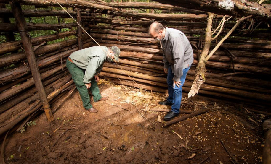 Projeto da UEPG analisa zoonoses relacionadas a javalis em parques do Paraná - Foto: SETI