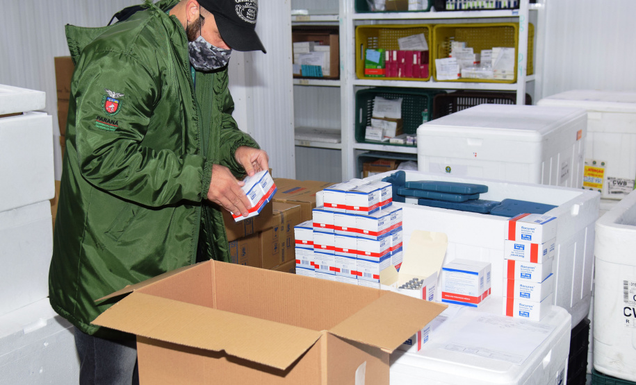 O Governo do Estado começou a distribuir sexta-feira (23) para as 22 Regionais de Saúde do Paraná mais 205.130 doses da vacina contra a Covid-19. Os imunizantes integram o 14º lote encaminhado pelo Ministério da Saúde na quinta-feira (22), composto por 166.000 doses da Covishield, produzida pela Universidade de Oxford/AstraZeneca/Fiocruz, e 39.130 doses da CoronaVac, desenvolvida pelo Instituto Butantan/Sinovac. - Curitiba, 23/04/2021  -   Foto: Américo Antonio/SESA