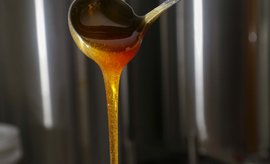 Produção de mel.
Ortigueira - Pr
Foto: Gilson Abreu/AEN