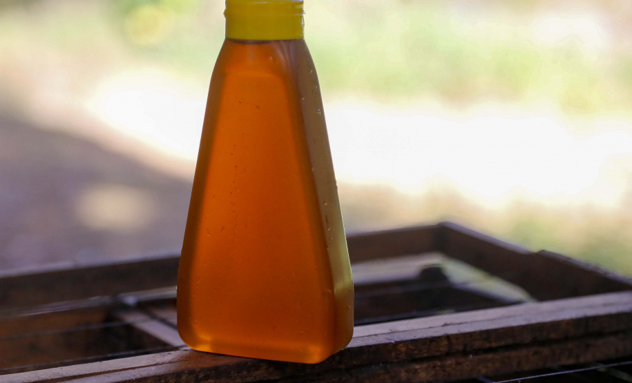 Produção de mel.
Ortigueira - Pr
Foto: Gilson Abreu/AEN