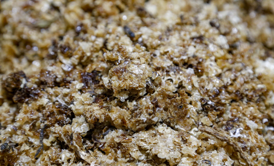 Produção de mel.
Ortigueira - Pr
Foto: Gilson Abreu/AEN