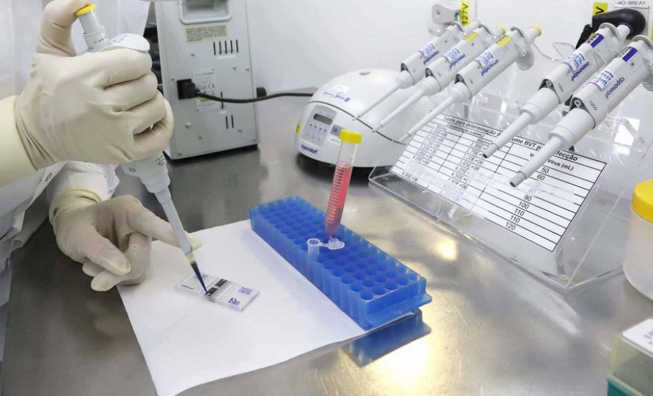 Universidades Estaduais mantêm boa avaliação do Ministério da Educação (MEC) - .Foto: Arnaldo Alves / ANPr.